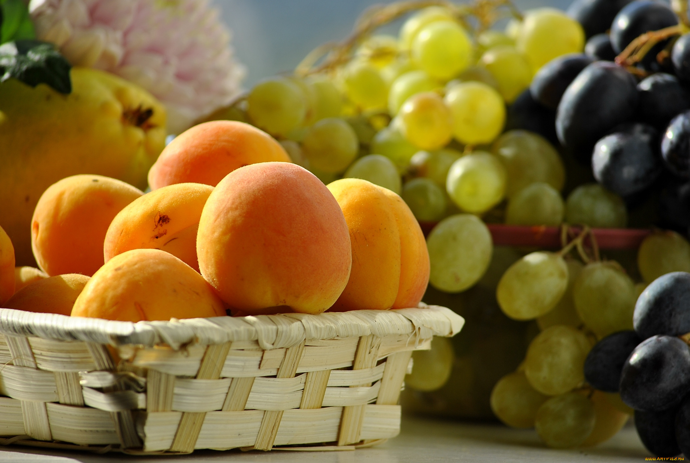 Нектарины абрикосы виноград
